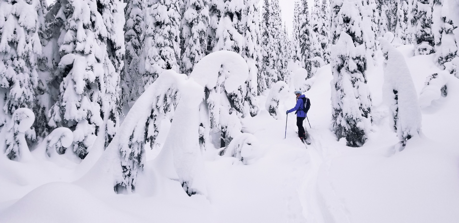 Christine ski touring through snow-laden trees